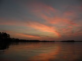 Enlarge photo 192