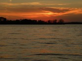 Enlarge photo 196