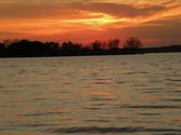 Enlarge photo 195