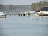 Enlarge photo 197