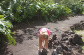 Enlarge photo 36