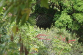 Enlarge photo 41