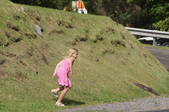 Enlarge photo 43