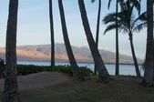 Enlarge photo 63