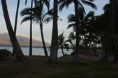 Enlarge photo 64