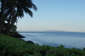 Enlarge photo 65