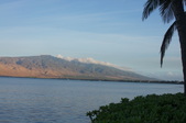 Enlarge photo 68