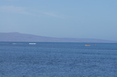 Enlarge photo 72