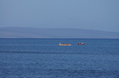 Enlarge photo 73