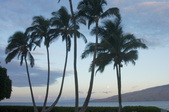 Enlarge photo 74
