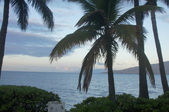 Enlarge photo 76