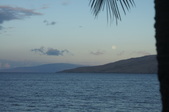 Enlarge photo 75