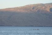 Enlarge photo 80