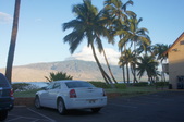 Enlarge photo 81