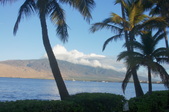 Enlarge photo 83