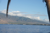 Enlarge photo 84