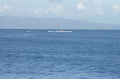 Enlarge photo 90