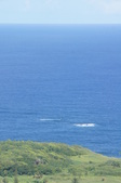 Enlarge photo 102
