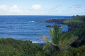 Enlarge photo 105