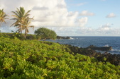 Enlarge photo 111