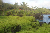 Enlarge photo 112