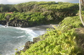 Enlarge photo 122