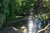 Enlarge photo 126