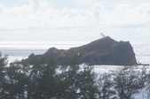 Enlarge photo 131
