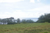 Enlarge photo 133