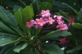 Enlarge photo 135