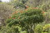 Enlarge photo 138