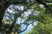 Enlarge photo 142