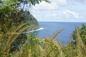 Enlarge photo 143