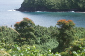 Enlarge photo 150