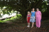 Enlarge photo 151