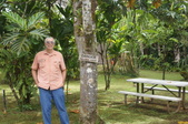 Enlarge photo 153