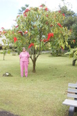 Enlarge photo 152