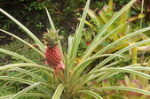 Enlarge photo 157