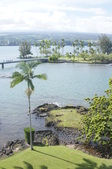 Enlarge photo 163