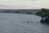 Enlarge photo 164