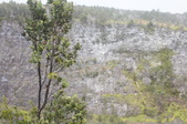 Enlarge photo 191