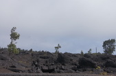 Enlarge photo 192