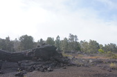 Enlarge photo 194