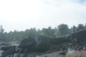 Enlarge photo 195