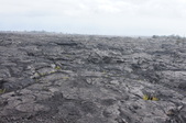 Enlarge photo 198