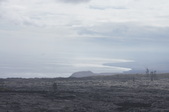 Enlarge photo 204