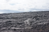 Enlarge photo 213