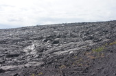 Enlarge photo 215