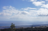 Enlarge photo 218