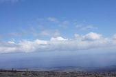 Enlarge photo 219